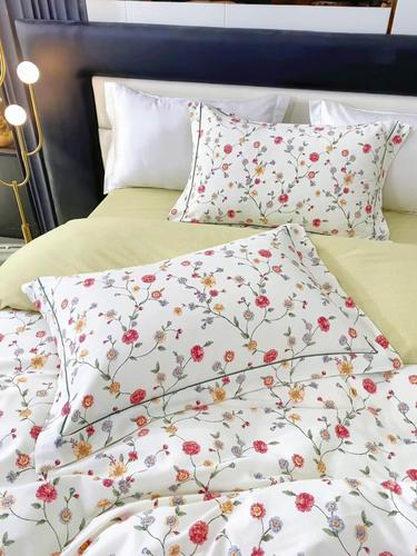 AUSSINO澳西奴| 全棉100纯棉加厚磨毛新款四件套双人加大