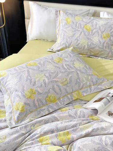 AUSSINO澳西奴/全棉纯棉磨毛加厚冬季新款四件套双面磨绒保暖4件套